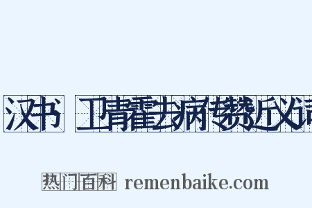 汉书·卫青霍去病传赞近义词是什么意思的图片